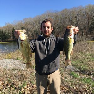 Meet your Posher, Ben